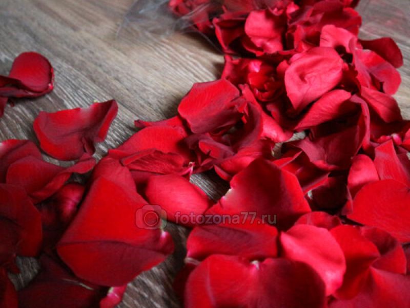 Лепестки роз