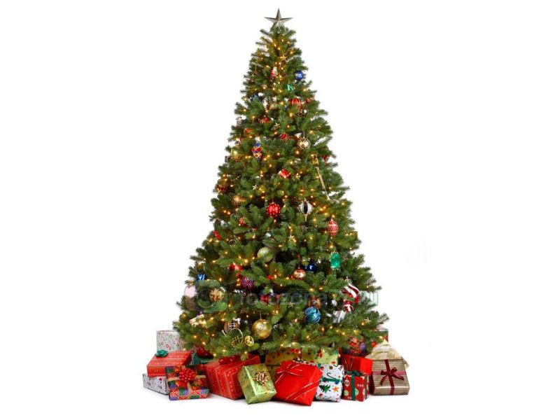 Ёлка (180 см)